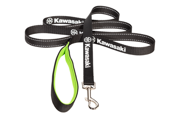 Dog Leash